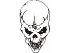  Skulls Bones 0 3 9 Decal