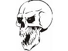  Skulls Bones 0 4 7 Decal
