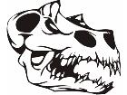  Skulls Bones 0 5 4 Decal
