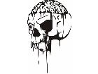  Skulls Bones 0 7 0 Decal