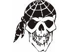  Skulls Bones 0 7 3 Decal