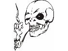  Skulls Bones 0 7 5 Decal
