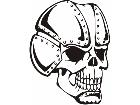  Skulls Bones 0 7 6 Decal