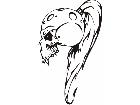  Skulls Bones 0 7 8 Decal