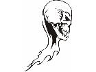  Skulls Bones 0 7 9 Decal