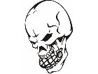  Skulls Bones 0 9 6 Decal