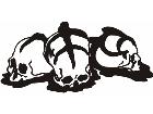  Skullsonthe Ground 2 Decal