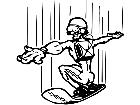  Sky Boarder 0 6 2 V A 1 Decal