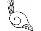  Snail 2 6 5 Decal