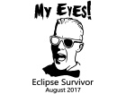  Solar Eclipse Burning Eyes Decal