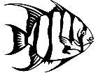  Spade Fish 1 4 0 V A 1 Decal