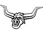  Steer Longhorn Nose Ring M B 1 Decal