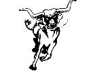  Steer Longhorn Run M B 1 Decal