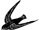  Swallow Bird 1 3 9 V A 1 Decal