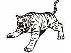  Tiger Animal Wild 0 1 3a Decal
