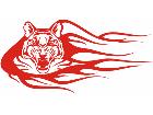  Tiger Flame 0 2 A F 1 Decal