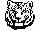 Tiger Head 3 Decal