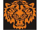  Tiger Head 4 Decal