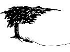  Tree Border 0 1 5 V A 1 Decal