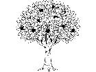  Trees Flowers Fruit Tree T G P A 1 Decal