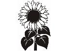  Trees Flowers Sunflower 0 1 P A 1 Decal