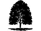  Trees Flowers Tree 0 2 P A 1 Decal