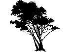  Trees Flowers Tree 0 3 P A 1 Decal