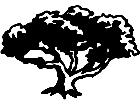  Trees Flowers Tree 0 5 M G P A 1 Decal