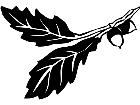  Trees Acorns 1 5 7 V A 1 Decal