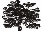  Trees Bean 1 5 8 V A 1 Decal