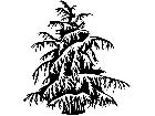  Trees Cedar 1 5 8 V A 1 Decal
