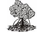  Trees Mangrove 1 5 8 V A 1 Decal
