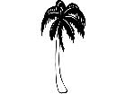  Trees Palm 1 5 7 V A 1 Decal