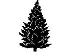  Trees Spruce 2 1 5 7 V A 1 Decal