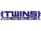  Twins Decal