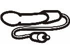  Vibrator Dildo Decal