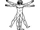  Vitruvian Man Decal