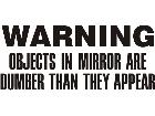  Warning Dumb Objects Decal