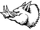  Wart Hog Decal
