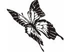  Wild Animals Butterfly 0 1 P A 1 Decal