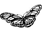  Wild Animals Butterfly 0 2 P A 1 Decal