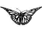 Wild Animals Butterfly 0 3 P A 1 Decal
