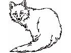  Wild Animals Fox 0 1 P A 1 Decal