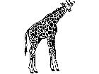  Wild Animals Giraffe P A 1 Decal