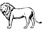  Wild Animals Lion 0 2 P A 1 Decal