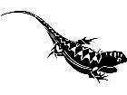  Wild Animals Lizard P A 1 Decal