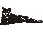  Wild Animals Puma P A 1 Decal