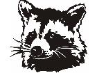  Wild Animals Raccoon P A 1 Decal