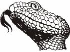  Wild Animals Rattlesnake P A 1 Decal