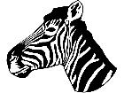  Wild Animals Zebra D R P A 1 Decal